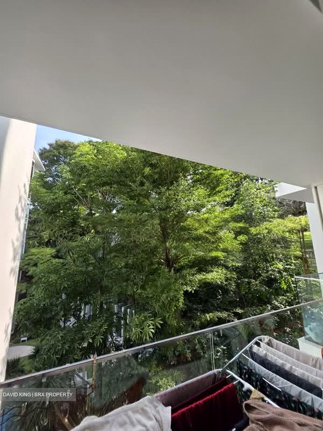 Parc Emily (D9), Condominium #580151011